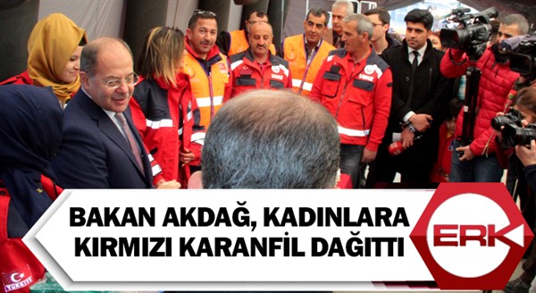  Bakan Akdağ, kadınlara kırmızı karanfil dağıttı