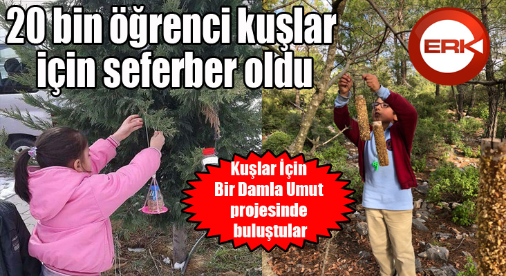 20 bin öğrenci kuşlar için seferber oldu