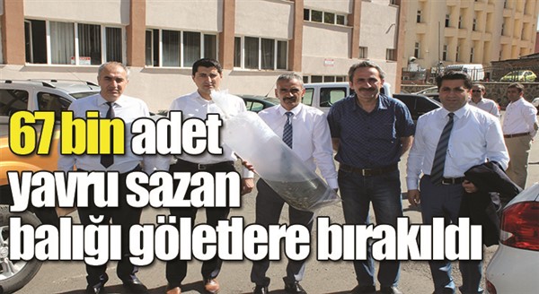 67 bin adet yavru sazan balığı göletlere bırakıldı