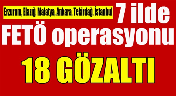 7 ilde FETÖ operasyonu: 18 gözaltı