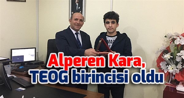 Alperen Kara, TEOG birincisi oldu