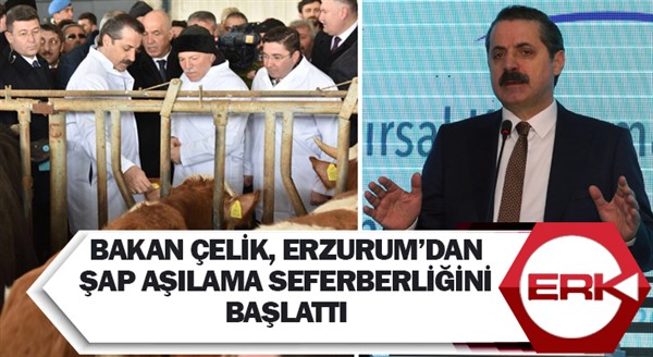 Bakan Çelik, Erzurum’dan şap aşılama seferberliğini başlattı