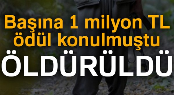 Başına 1 milyon ödül konulan terörist Bingöl'de öldürüldü