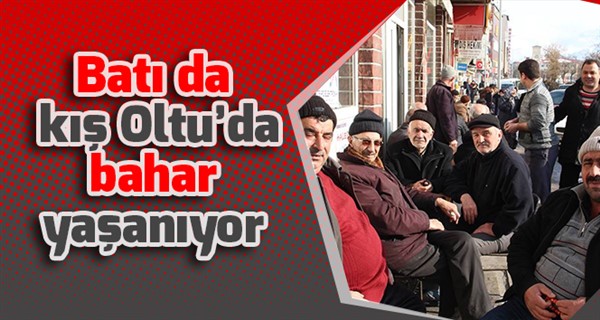 Batı da kış Oltu’da bahar yaşanıyor