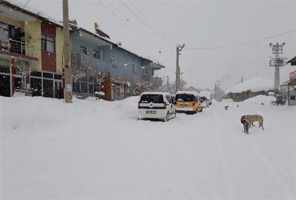 Bingöl’de kar yağışı hayatı felç etti