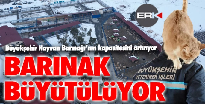 Büyükşehir Hayvan Barınağı’nın kapasitesini artırıyor