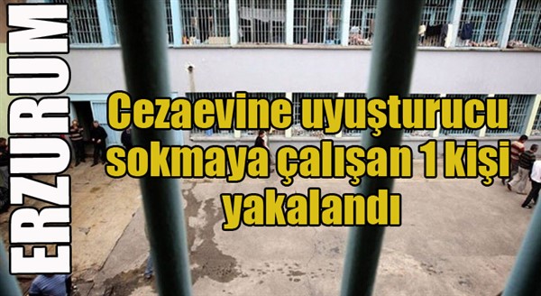 Cezaevine uyuşturucu sokmaya çalışan 1 kişi yakalandı