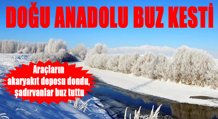 Doğu Anadolu donuyor 