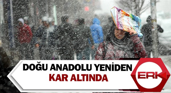 Doğu Anadolu yeniden kar altında