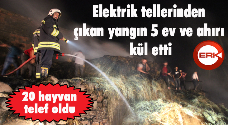 Elektrik tellerinden çıkan yangın 5 ev ve ahırı kül etti