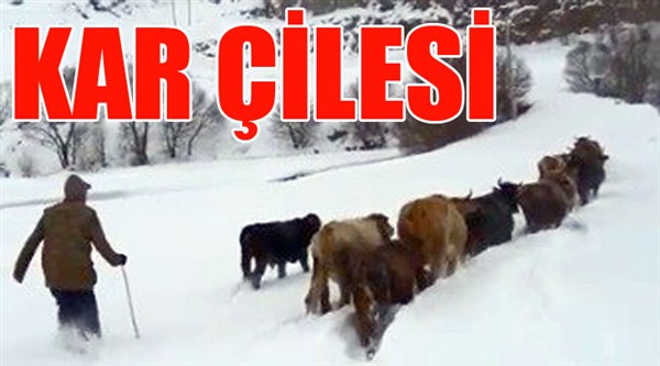 Erzurum’da Nisan ayında kış çilesi