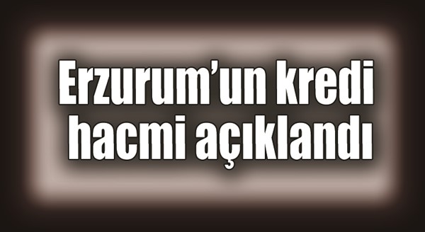 Erzurum’un kredi hacmi açıklandı