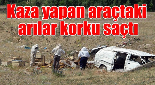 Kaza yapan araçtaki arılar korku saçtı