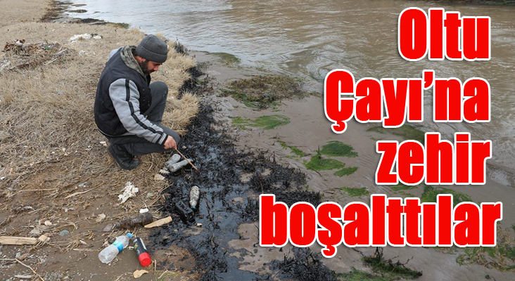 Oltu Çayına zehir boşalttılar