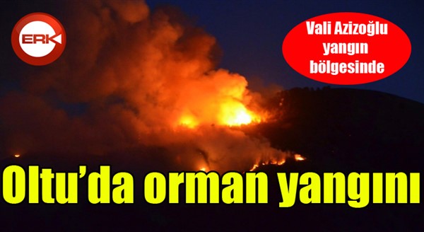 Oltu'da korkutan yangın...