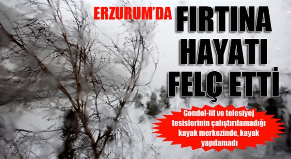 Palandöken'de fırtına hayatı felç etti 