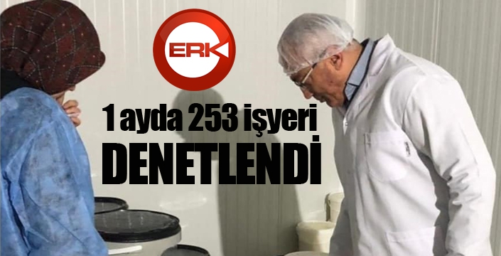 1 ayda 253 işyeri denetlendi