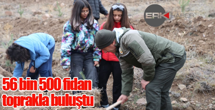 6 ilde 56 bin 500 fidan toprakla buluştu