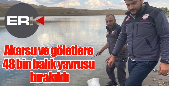 Akarsu ve göletlere 48 bin balık yavrusu bırakıldı