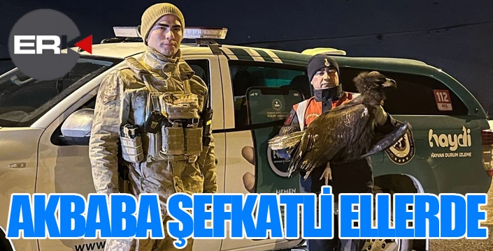 Akbabaya jandarma şefkati