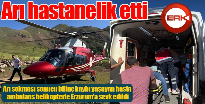 Arı hastanelik etti...