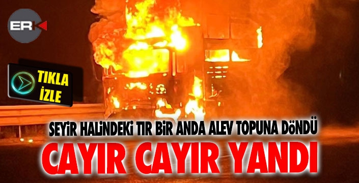 Aşkale'de seyir halinde alev alan tır yanarak küle döndü 