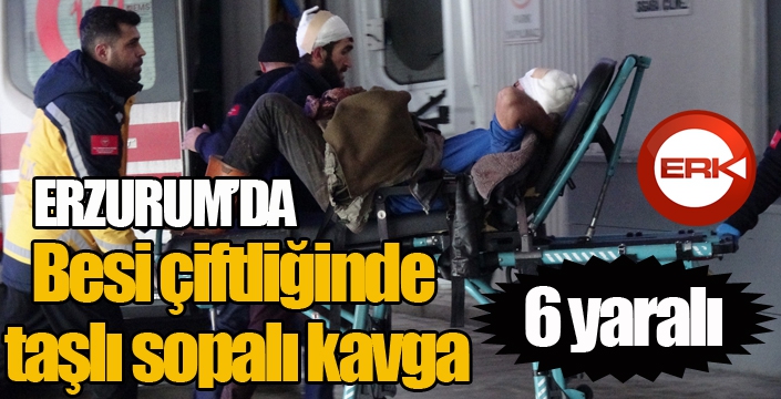 Besi çiftliğinde taşlı sopalı kavga: 6 yaralı