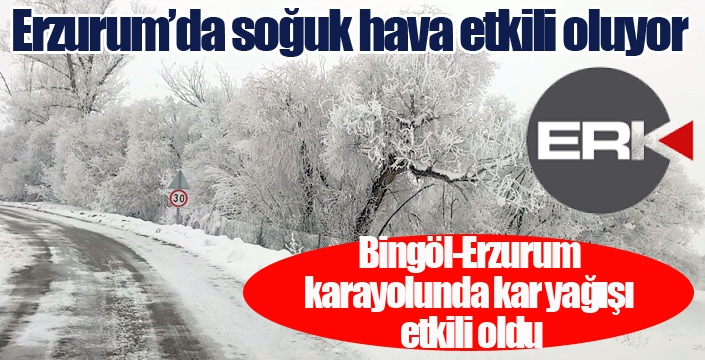 Bingöl-Erzurum karayolunda kar yağışı etkili oldu