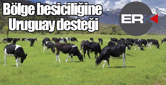 Bölge besiciliğine Urugay desteği