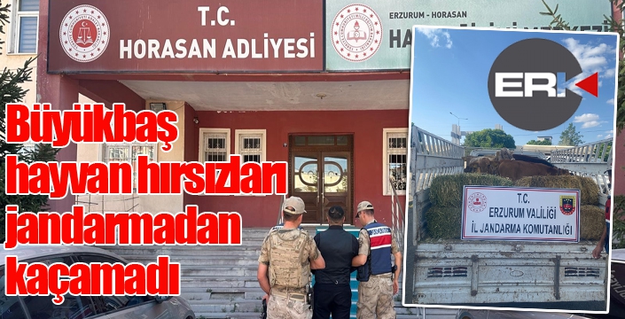 Büyükbaş hayvan hırsızları jandarmadan kaçamadı