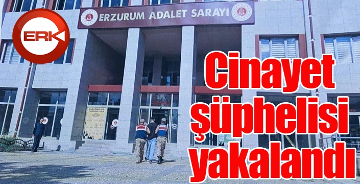 Cinayet şüphelisi yakalandı