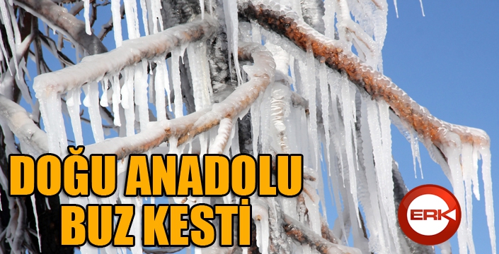 Doğu Anadolu buz kesti