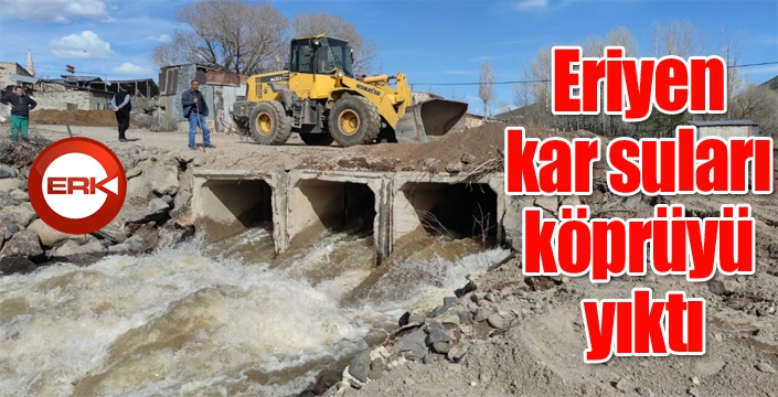 Eriyen kar suları köprüyü yıktı