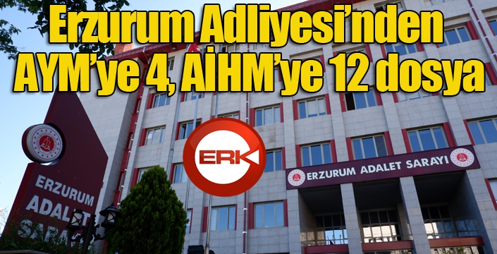 Erzurum Adliyesi’nden AYM’ye 4, AİHM’ye 12 dosya