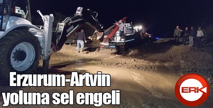 Erzurum-Artvin yoluna sel engeli