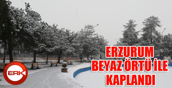 Erzurum beyaz örtü ile kaplandı