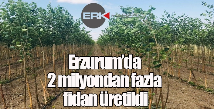 Erzurum’da 2 milyondan fazla fidan üretildi