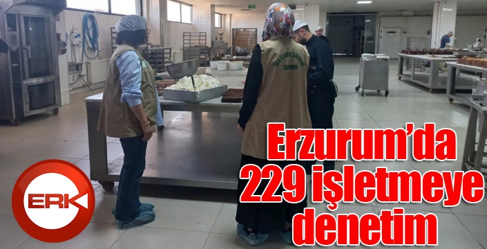 Erzurum’da 229 işletmeye denetim