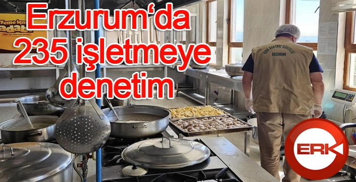 Erzurum‘da 235 işletmeye denetim