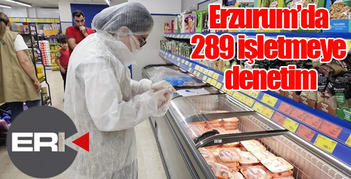 Erzurum’da 289 işletmeye denetim