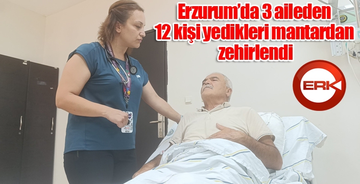 Erzurum’da 3 aileden 12 kişi yedikleri mantardan zehirlendi