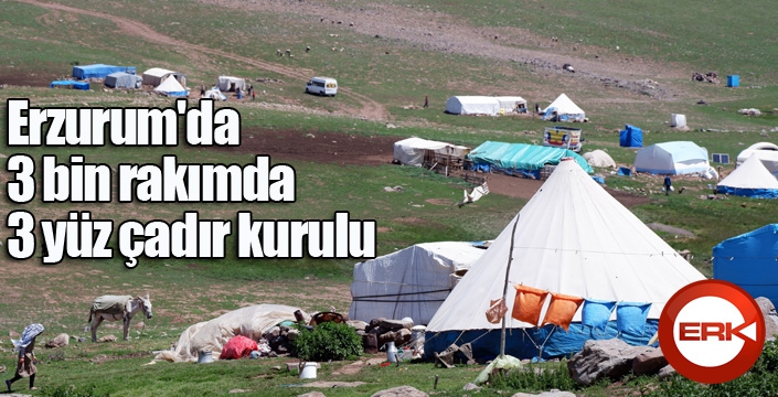 Erzurum'da 3 bin rakımda 3 yüz çadır kurulu