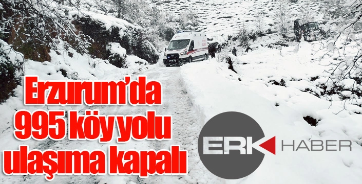 Erzurum’da 995 köy yolu ulaşıma kapalı