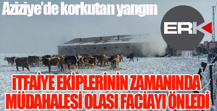 Erzurum’da ahır yangını