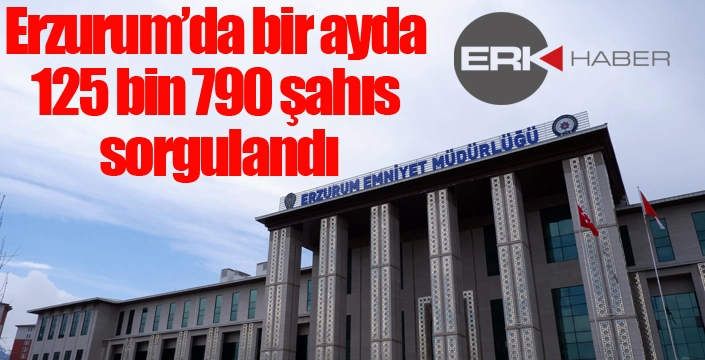 Erzurum’da bir ayda 125 bin 790 şahıs sorgulandı