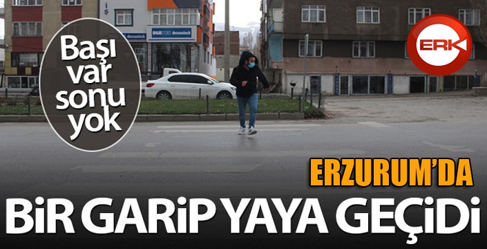 Erzurum'da bir garip yaya geçidi, başı var sonu yok