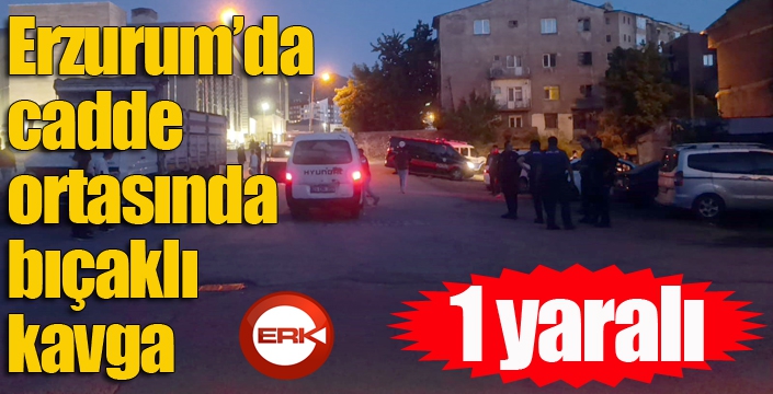 Erzurum’da cadde ortasında bıçaklı kavga: 1 yaralı