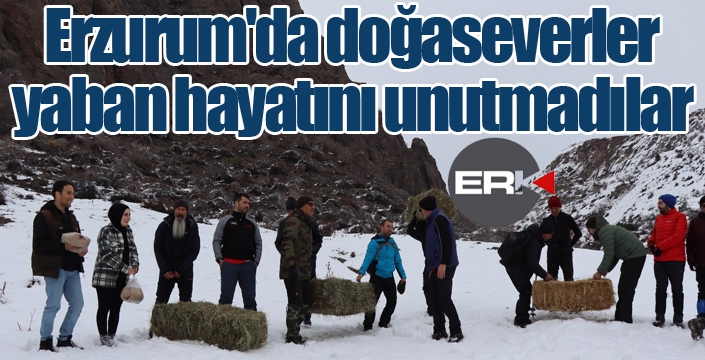  Erzurum'da doğaseverler yaban hayatını unutmadılar