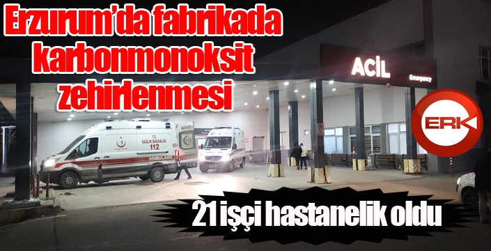 Erzurum'da fabrikada karbonmonoksit zehirlenmesi şüphesiyle 21 işçi hastanelik oldu