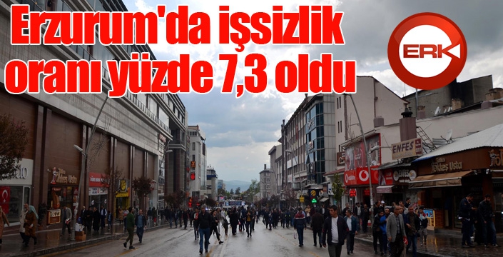 Erzurum'da işsizlik oranı yüzde 7,3 oldu